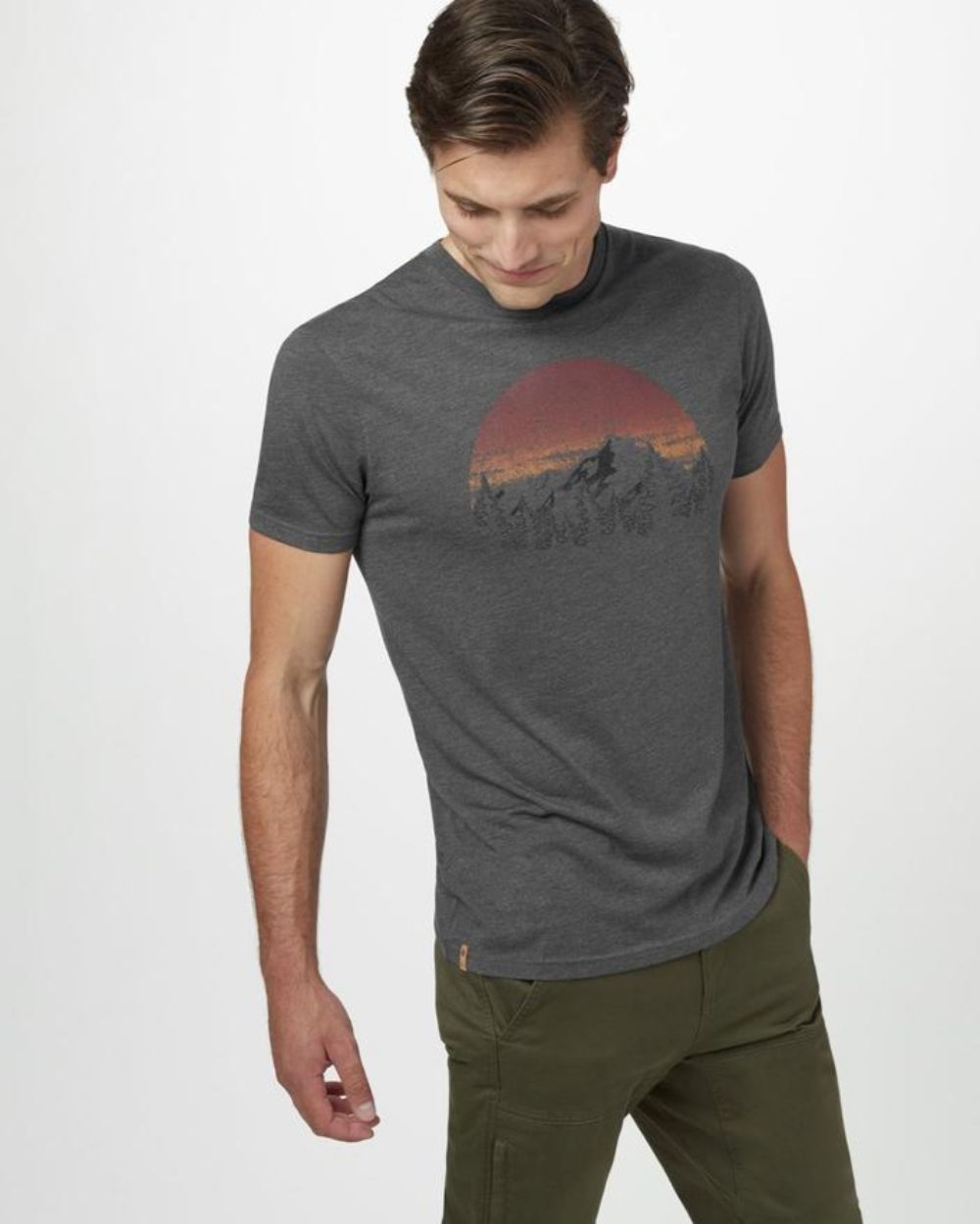 Tentree Vintage Sunset Mens Short Sleeve T-shirt 2020